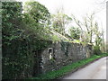 Derelict terrace of houses adjoining Llandyfrydog Church