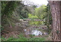 Lake in the grounds of the Chase Hotel