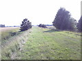 Public Footpath between South Engine Drain and River Torne