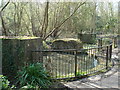 Remains of Wash Mills in Berengrave Nature Reserve