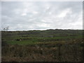 SH4687 : Sheep grazing on land north of Afon Goch by Eric Jones