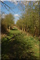 Footpath at Welford-on-Avon