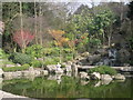 The Kyoto Garden in Holland Park