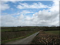 Neatly trimmed hedgerows along the road south of  Tan yr Allt