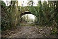 The Withered Arm - Bridge No143 - Pendavey Farm