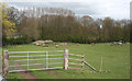 Line of dismantled railway, near Whitchurch