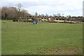 Sheep pasture near Whitchurch