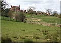 Sloping pasture east of Tarporley Road, near Whitchurch