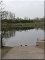 Slipway For Ducks, Chorlton Water Park