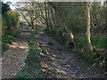 Cromford Canal above Sawmills