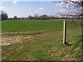 Footpath junction in Grove Farm