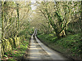 2009 : Lane to West Kington Wick