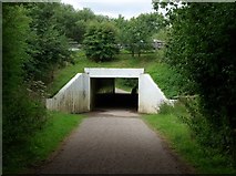 SP2096 : Tunnel under the M42 by Keith Williams