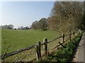 Wood and fields from the lane