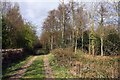 Track in the eastern Bagley Wood