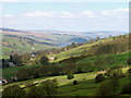 Above Pateley Bridge