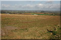 SX2261 : Farmland near St Keyne by Philip Halling