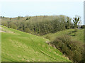 2009 : Dry valley in the southern Cotswolds