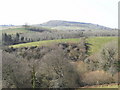 Great Beach Coppice and adjacent fields