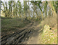 2009 : Farm track and bridleway near Castle Combe