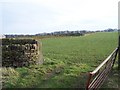 Lambing Field, Mossley Road, Sheephouse Heights - 2