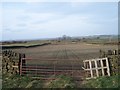 Lambing Field, Mossley Road, Sheephouse Heights - 3