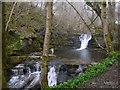 Waterfalls on the Middlehope Burn near High Mill, Westgate