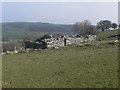 Ruined farmhouse near Nant-y-Pyd