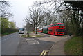 School Buses waiting in a layby, Tudeley Lane