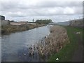 Bradley Arm Canal