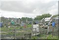 Allotments - Northside Avenue