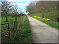 Track up to Highfield Farm