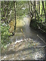 The River Fal at Tolgarrick