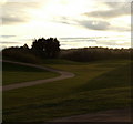 Grassy area at the Blue Seaway, Monifieth