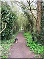 Halton Railway ? The Footpath West of the Canal