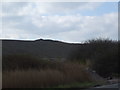 Hatfield main Spoil heaps