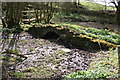 Footbridges at Charterhouse