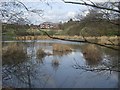 Fishing pool in the Forest of Mercia