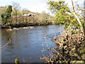 River Clyde between Hazelbank and Crossford