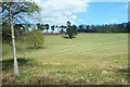 Field near the railway, Witley