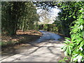 Bend in road and junction of two footpaths