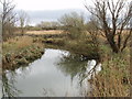 T0427 : River Sow at Castlebridge by David Hawgood