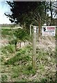 Footpath junction near Turkey Farm