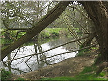 ST7953 : The River Frome by Dr Duncan Pepper