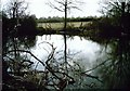 Pond on Copper Lane