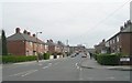 Ivy Avenue - Skelton Terrace