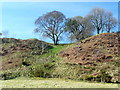 Raised beach near Tain