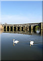 TQ0316 : Greatham Bridge by Simon Carey