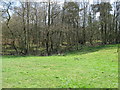 Stile at entrance into woodland at Mount Noddy