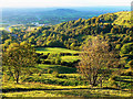 Crickley Hill, near Witcombe